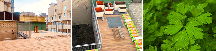 02 Website Header Collage 832x198px